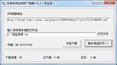 无损淘宝视频下载器 V1.2 绿色版