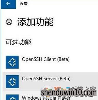 OpenSShʲô?ȼwin10רҵΰװOpenSSh?