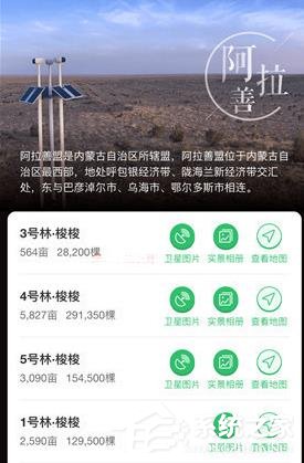 支付宝怎么在线上查看种树?支付宝查看种树的方