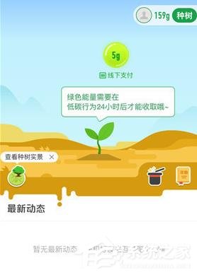 支付宝怎么在线上查看种树?支付宝查看种树的方