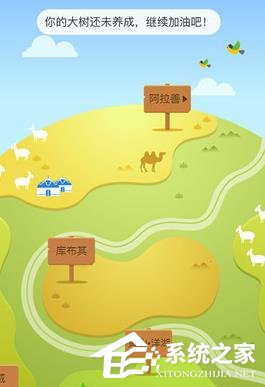 支付宝怎么在线上查看种树?支付宝查看种树的方