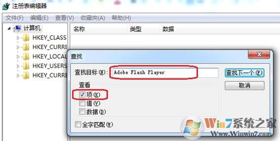 win10ϵͳAdobe Flash Player޷жʾгͻ