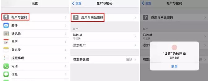 苹果手机中密码自动填充功能怎么使用的教程