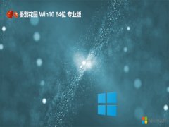 ѻ԰win10 64λ ⼤ҵרעv2025.05