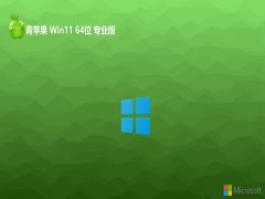 ƻϵͳwin11ǿر64λv2025.05⼤