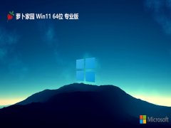 ܲ԰win11 64λϵڲv2024.05⼤