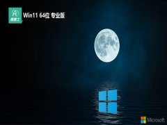 ʿwin11 64λ ⼤ȥɫv2024.05