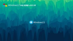 系统之家Windows11 64位 热门纯净版 2021.09