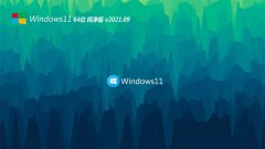 ϵͳ֮Windows11 64λ Ŵ 2021.09